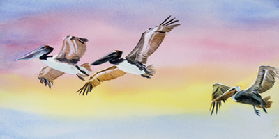 painting of 3 brown pelicans flying at dawn